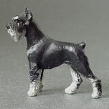 schnauzer