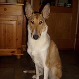 Sandy 9 maanden