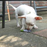 Wat is dat nou? (6 dagen thuis..)