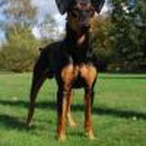 Oskar als puber.....stoer