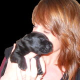 Otis 2 weken oud