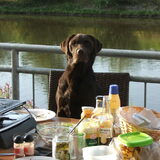 ik wil ook graag mee aan tafel!!