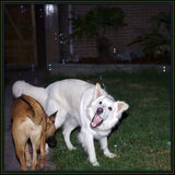 Foto van Hetty & Skipper