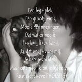 Hier mijn lieve vorige hond.! Beau was een kruising herder/husky.. Rust…