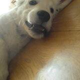 even gek doen, onze Wabby =D