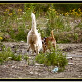 Foto van Hetty & Skipper