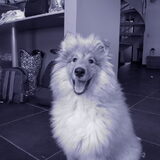 Cooper 04 juli 2010