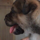 Julie 3 weken oud
