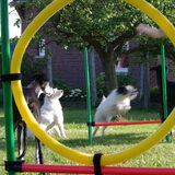 Agility