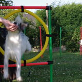 Agility