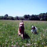 Foto van liesbeth,Turbo,Luna, Levi en Faith