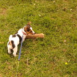 luna met5 te grote stok-