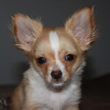 Onze kleine vriend Jay!