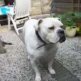 Foto van Anne