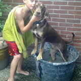 Foto van Juut & Brownie