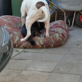 toen was shadow weg hahahahha