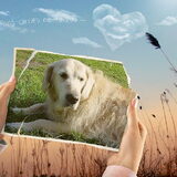 Jessie r.i.p