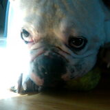 Droopie face ! :D