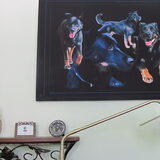Ilja heeft deze prachtige collage van Lola gemaakt, de zwarte hond…