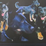 Lola's collage