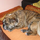 ons marieke "de schone slaapster"