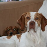 samen op de bank