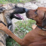 Themba met haar vriendin *Sterre*
