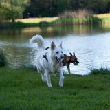 Foto van Hetty & Skipper