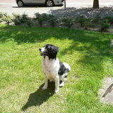 Foto van Liesbeth