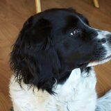 Foto van Liesbeth