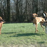 Foto van Sandra/Themba