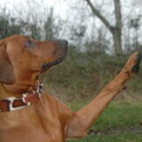 Foto van Sandra/Themba