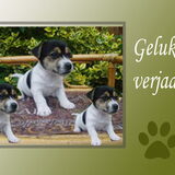 Foto van monique