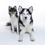 nog een x samen