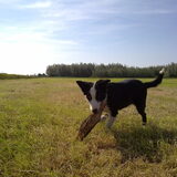 Foto van Anja en Dirk