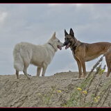 Foto van Hetty & Skipper