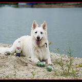 Foto van Hetty & Skipper