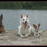 Foto van Hetty & Skipper