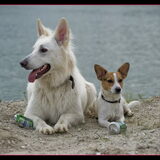 Foto van Hetty & Skipper