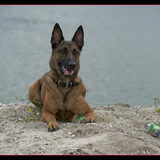 Foto van Hetty & Skipper
