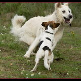 Foto van Hetty & Skipper