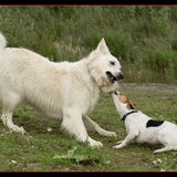 Foto van Hetty & Skipper