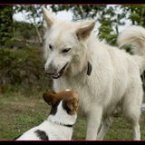 Foto van Hetty & Skipper