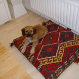 Kleine Joep op z'n Oosterse troon