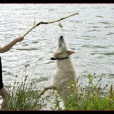 Foto van Hetty & Skipper