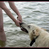 Foto van Hetty & Skipper