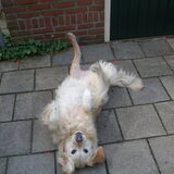 Hier was ik net geopereerd aan mijn kruisband, augustus 2009. Gelukkig…
