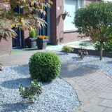 Foto van liesbeth,Turbo,Luna, Levi en Faith