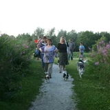 Foto van kooikerhondje