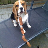 Spelen met de worstjes